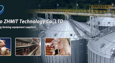 ZHMIT’s New Auto Waterer: 40% Water Savings Amid Bird Flu & Egg Price Spikes