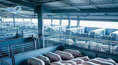 “My Cows Text Me!”: 2025’s Livestock Gear That Cuts Work & Boosts Profits