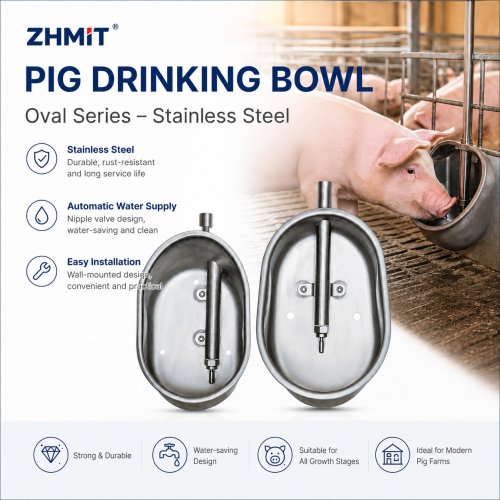 Pig Drinking Bowl – Oval Series Stainless Steel Drinking Bowl
