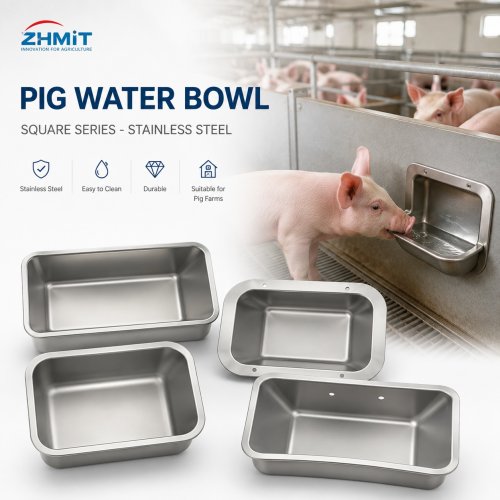 Square Pig Water Bowl – Stainless Steel Pig Drinking Bowl