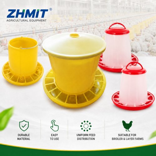 Poultry Feeder for Automatic Chicken Feeding System