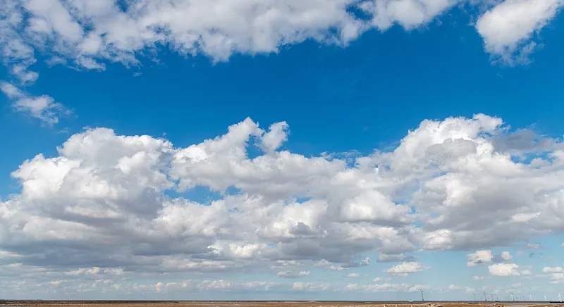 VCG41N2184547893 (1)