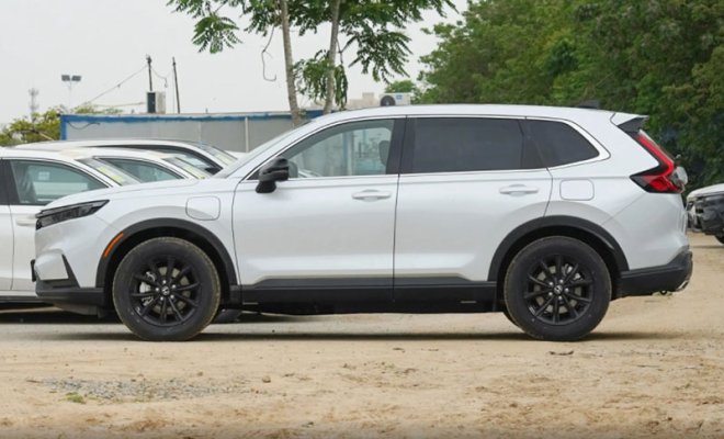 -1_0004_1687832450213