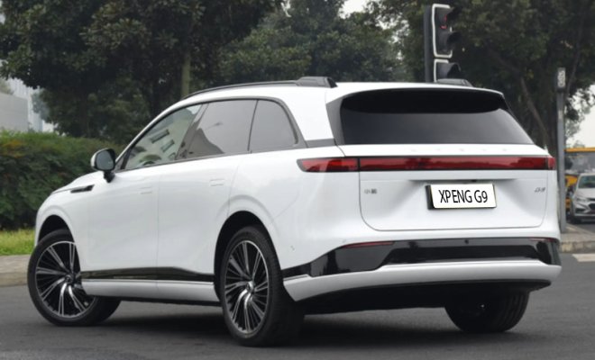 -1_0003_1688366052011 拷贝