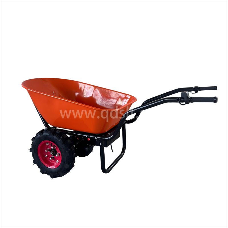 EWB6311-