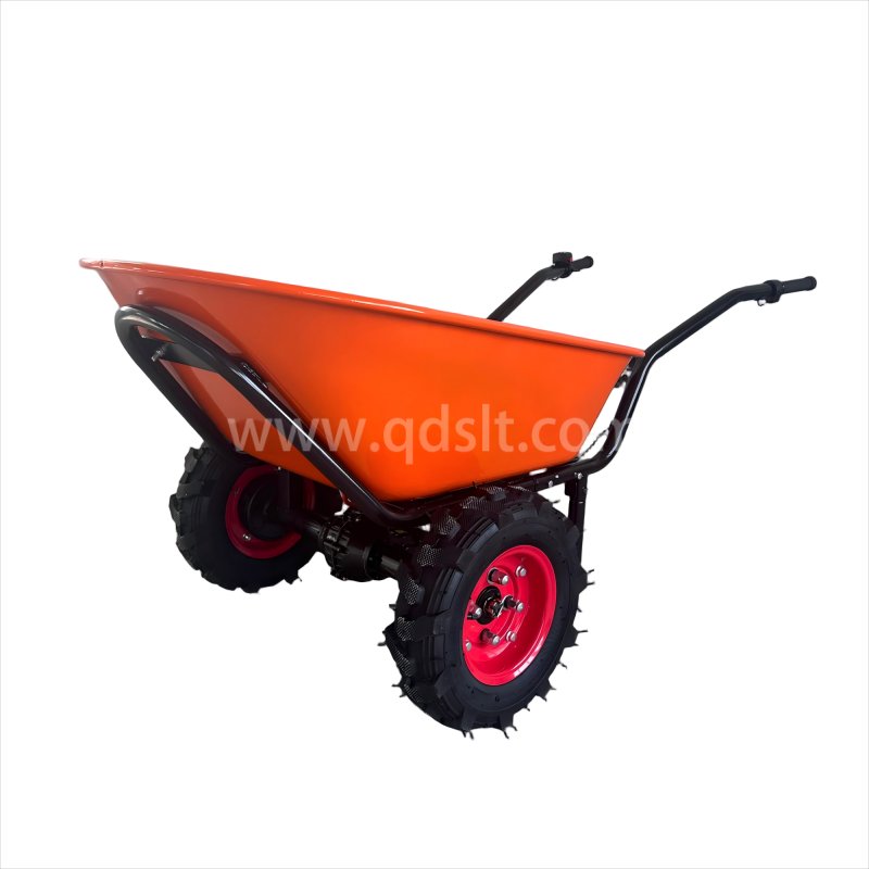 EWB6311-