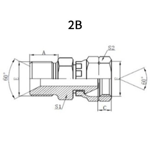 BSP Male * BSP Female