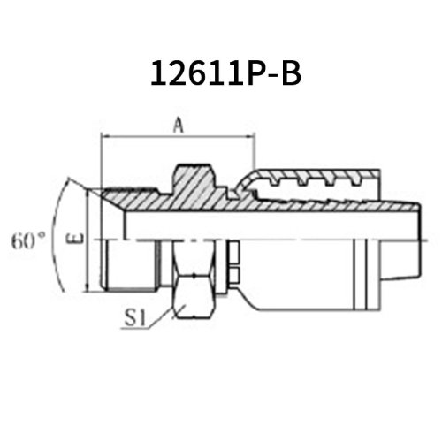 BSP Male 60° cone 