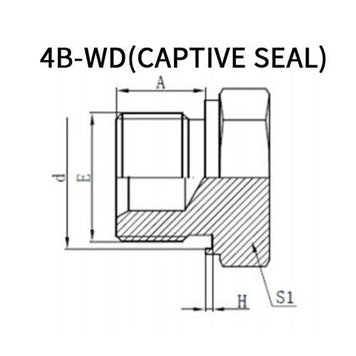 BSP Male Plug