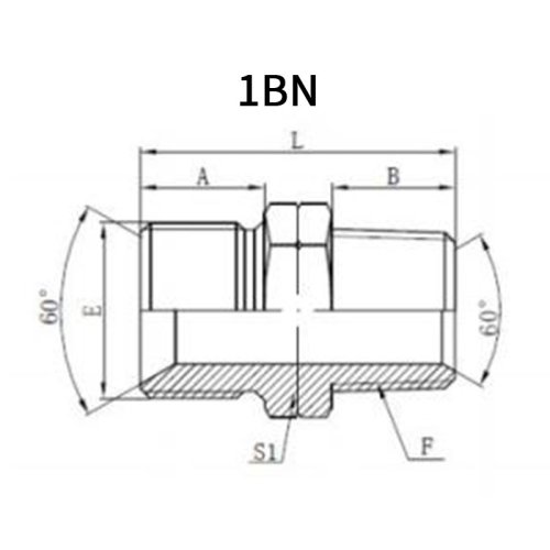 BSP Male*NPT Male