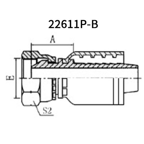 BSP Female 60° cone