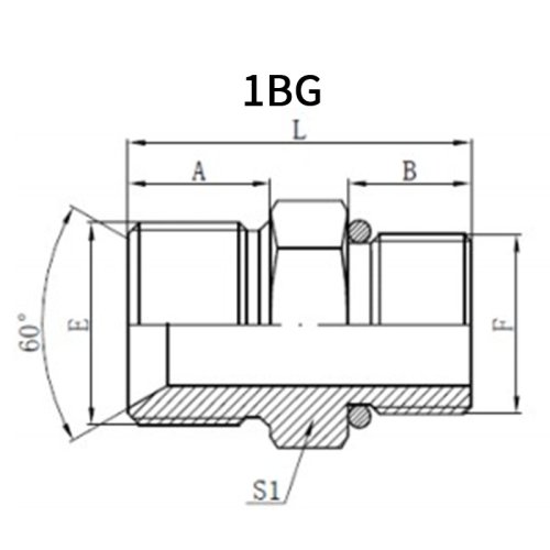 BSP Male*BSP Male+O-Ring