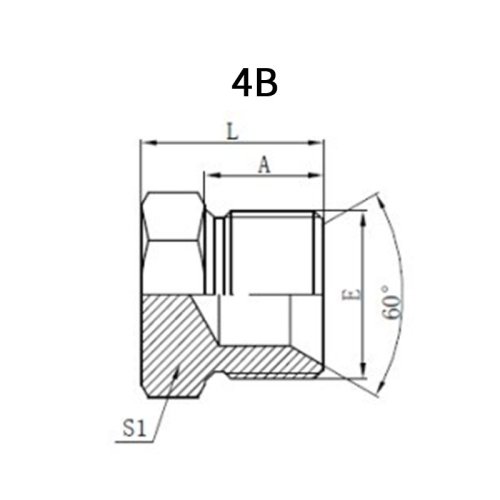 BSP Male Plug