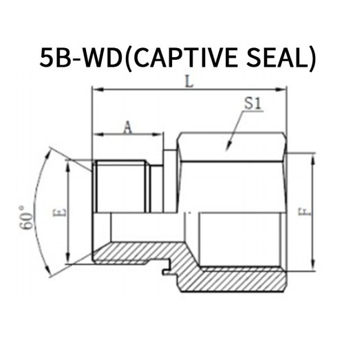 BSP Male*BSP Female