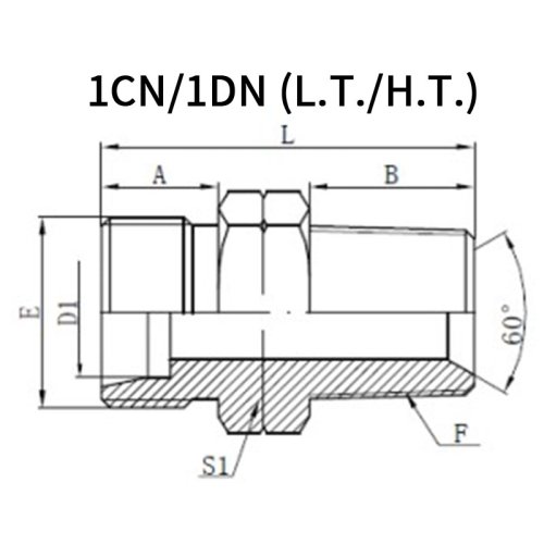 Metric 24°Male*NPT Male