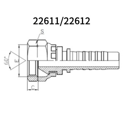 BSP Female 60° cone