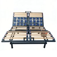 Double AutoAdjust Electric Bed Factory