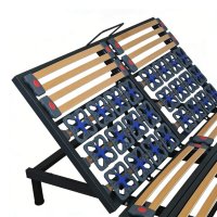 Double AutoAdjust Electric Bed Vendor