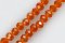 Orange Red
