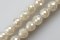 White Jade Precious