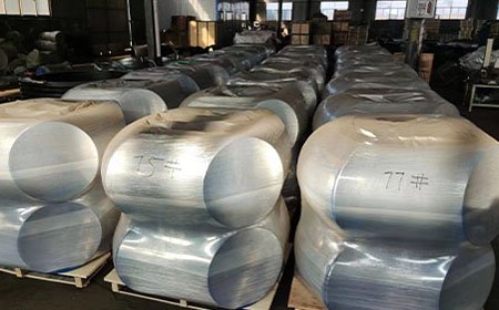 Processing packaging 13