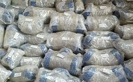 Processing packaging 5